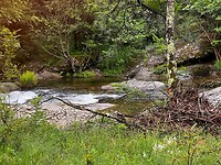 IMG_2713