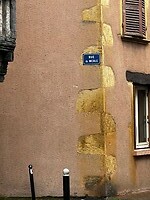 IMG_2780