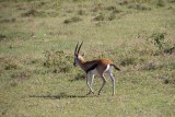 IMG_3141