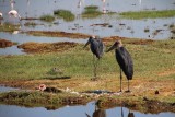 IMG_3150