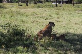 IMG_3182