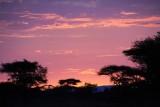Serengeti
