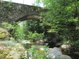 Pont