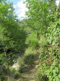 Blaunac