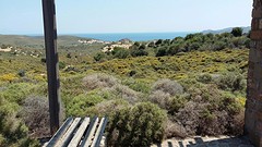 20160523_115842_resized