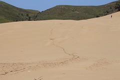 IMG_0234
