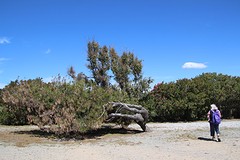IMG_0252