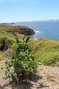 IMG_0268