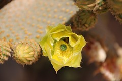IMG_0276