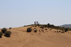 IMG_0232