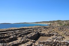 IMG_0246