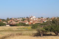 IMG_0296