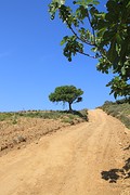 IMG_0222