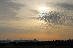IMG_0363