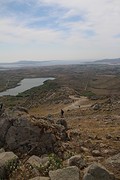 IMG_0354