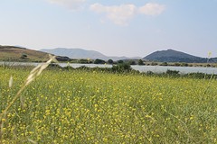 IMG_0330
