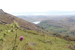 IMG_0344