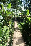 Garden at tortuguero lodge