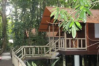 Lodge in regenwoud tortuguero