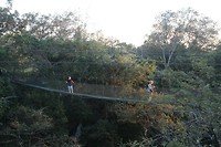 Hangbruggetje in Punta mala