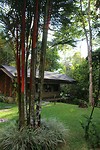 Tent in San Gerardo la dota