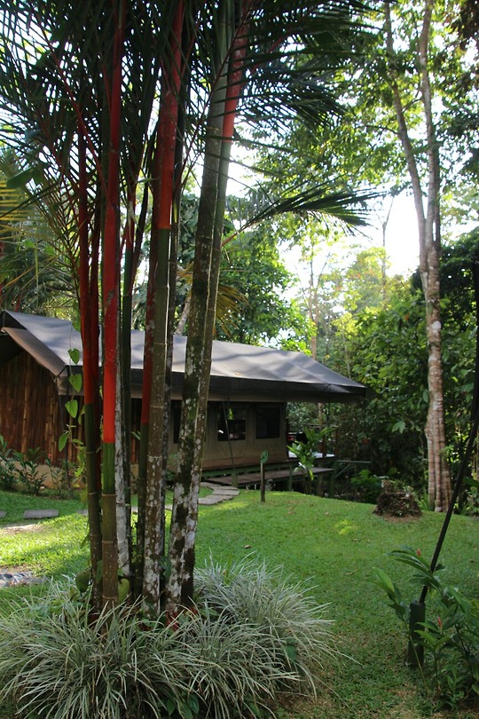 Tent in San Gerardo la dota