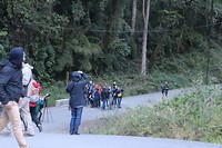 Quetzal Bird spotters