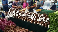 Cassaves