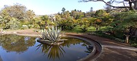 Botanic garden