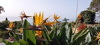 Botanic garden
