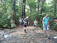 Jungle tocht