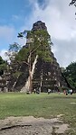 Tempel v