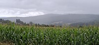 Regenwolken