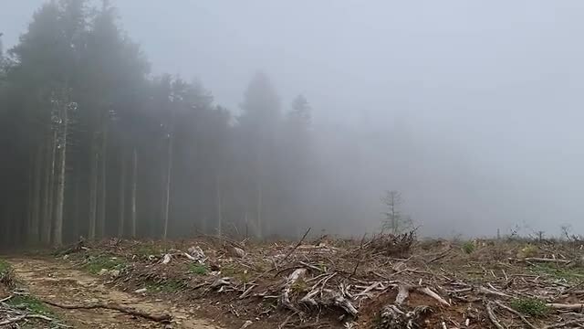 Top in de mist