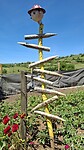 Soort kunst onderweg a la moestuin