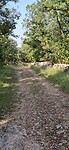 Ochtendwandelweg