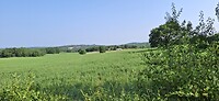 Wijds landschap