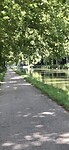 Platanenweg