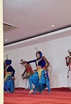 Peacock dans