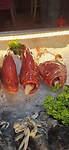 Red snappers