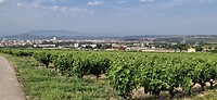 Zicht op Logroño