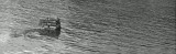 P1018769