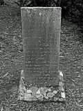 P1018792
