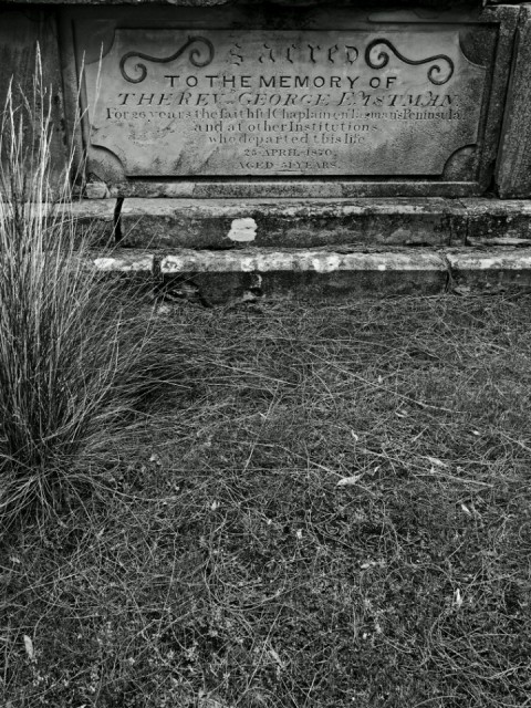 P1018804