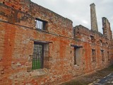 P1018813