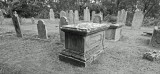 P1018802