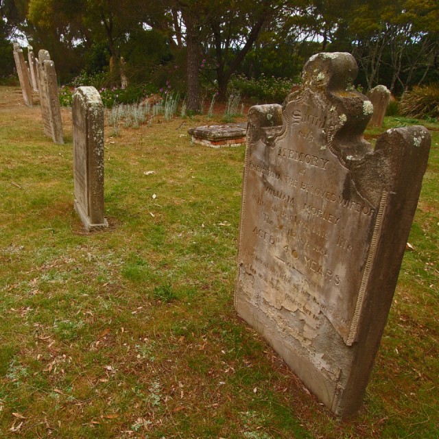 P1018806