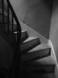 P1018822