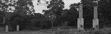 Mooi P1019116