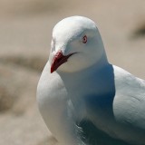 Mooi P1019226